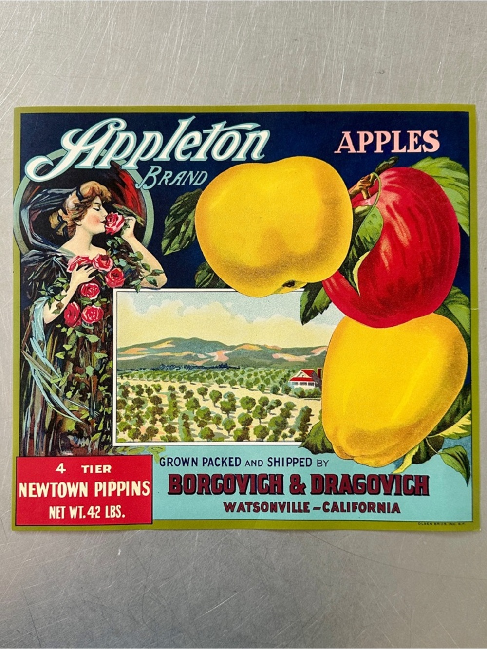 Vintage Paper 1910s-1920s Appleton Brand Apples Fruit Crate Label